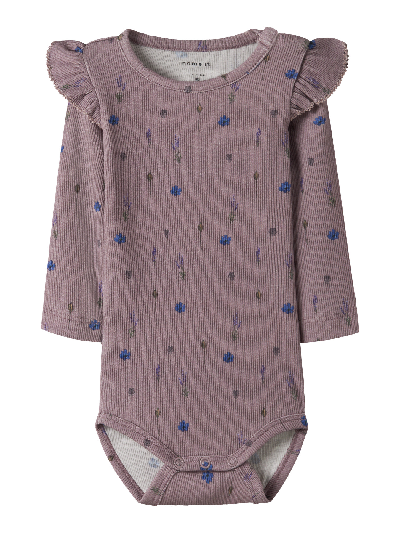 NAME IT Body Ohio Toadstool