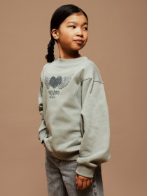 NAME IT Sweatshirt Boidas Shadow