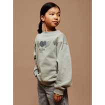 NAME IT Sweatshirt Boidas Shadow