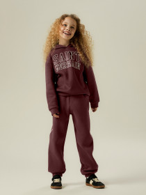 NAME IT Sweat Hoodie Karlie Andorra