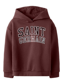 NAME IT Sweat Hoodie Karlie Andorra