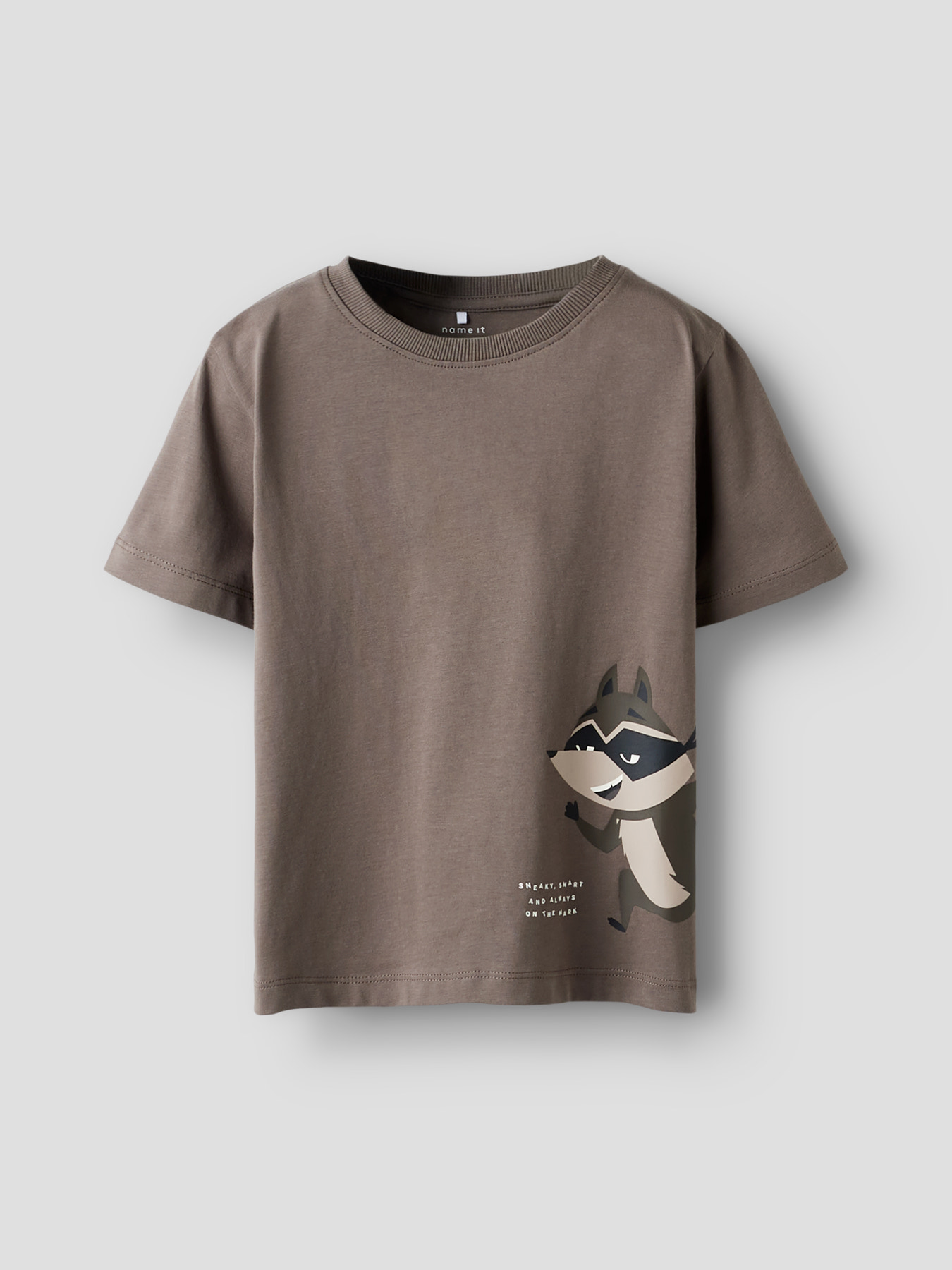 NAME IT T-shirt Kester Falcon