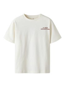 NAME IT T-shirt Kyle Egret