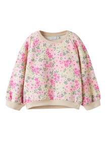 NAME IT Sweatshirt Dartia Peyote Melange