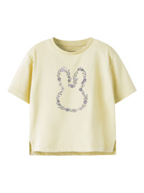 NAME IT T-shirt Deneas Pear Sorbet