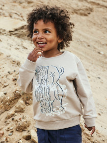 NAME IT Sweatshirt Donvu Chateau Gray