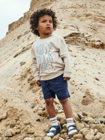 NAME IT Sweatshirt Donvu Chateau Gray