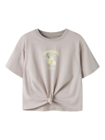 NAME IT T-shirt Hasel Chateau Gray