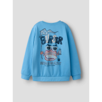 NAME IT Sweatshirt Ptegeo Cyaneus