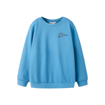 NAME IT Sweatshirt Ptegeo Cyaneus