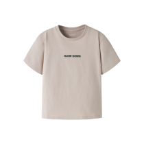 NAME IT T-shirt Javes Chateau Gray