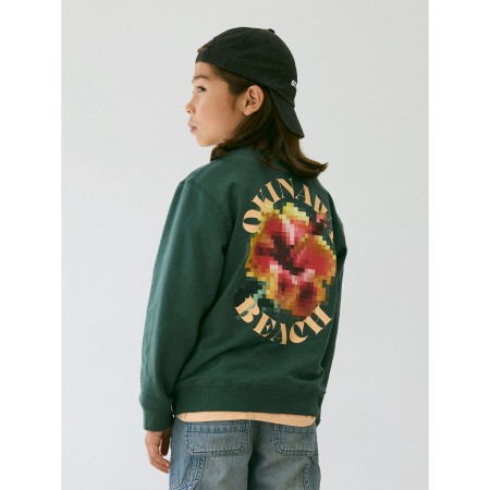 Name It Juan Garden Topiary - Sweatshirt - Grøn - 140