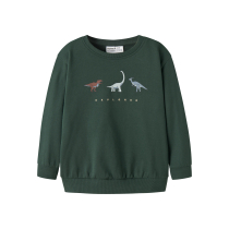 NAME IT Sweatshirt Nilius Sycamore