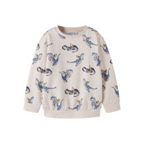 NAME IT Sweatshirt Kasse Peyote Melange