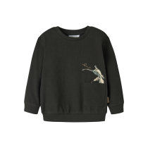 NAME IT Sweatshirt Kaj Peat