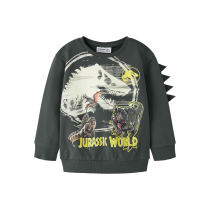 NAME IT Jurassic World Jal Sweatshirt Urban Chic
