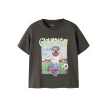 NAME IT T-shirt Laus Peat