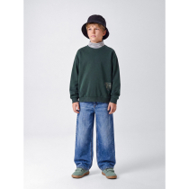 NAME IT Sweatshirt Ofranz Pine Grove