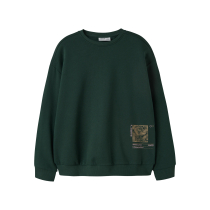 NAME IT Sweatshirt Ofranz Pine Grove