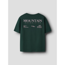 NAME IT T-shirt Ohannes Pine Grove