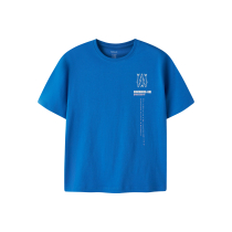 NAME IT T-shirt Ohannes Victoria Blue
