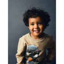 NAME IT Sweatshirt Nathaniel Sesame