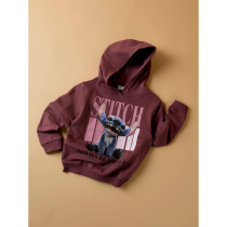 NAME IT Sweatshirt Ada Stitch Wild Ginger