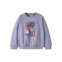 NAME IT Sweatshirt Okla Heirloom Lilac