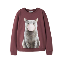 NAME IT Sweatshirt Votea Wild Ginger