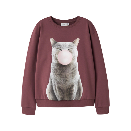 NAME IT Sweatshirt Votea Wild Ginger