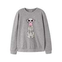 NAME IT Sweatshirt Vasacha Grey Melange 
