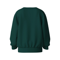 NAME IT Sweatshirt Voluf Botanical Garden Football