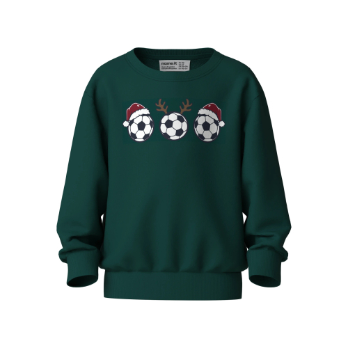 NAME IT Sweatshirt Voluf Botanical Garden Football