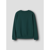 NAME IT Sweatshirt Voluf Botanical Garden Santa