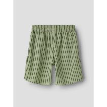 NAME IT Shorts Hasla Swamp