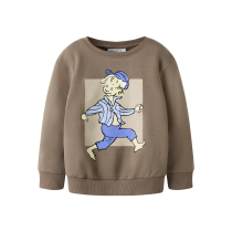 NAME IT Sweatshirt Ole Emil Walnut