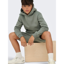 ONLY & SONS Shorts Ceres Castor Gray