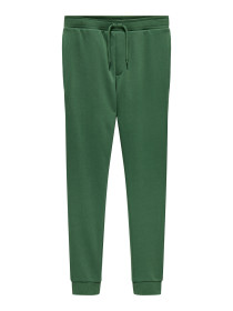 ONLY & SONS Sweatpants Tom Myrtle Ordinary