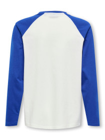 ONLY & SONS Sports Tee Cloud Dancer Surf The Web Lassi Brooklyn