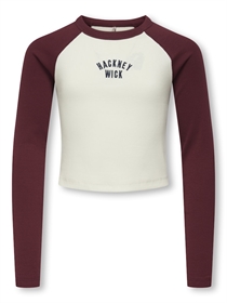 ONLY KIDS Kontrast Bluse Bina Cabernet Hackney Cloud Dancer