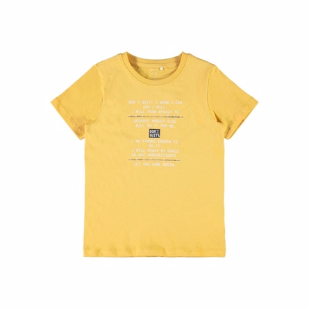 NAME IT Tee Kaleb Golden Apricot