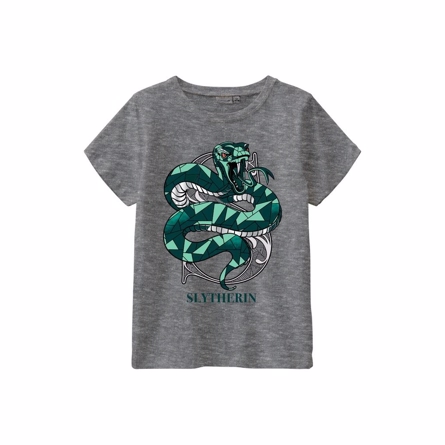 NAME IT Harry Potter Tee Slytherin Grey