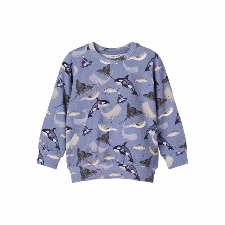 NAME IT Sweatshirt Tobi Wild Wind