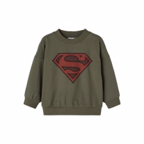 NAME IT Superman Sweatshirt Ruber Beetle