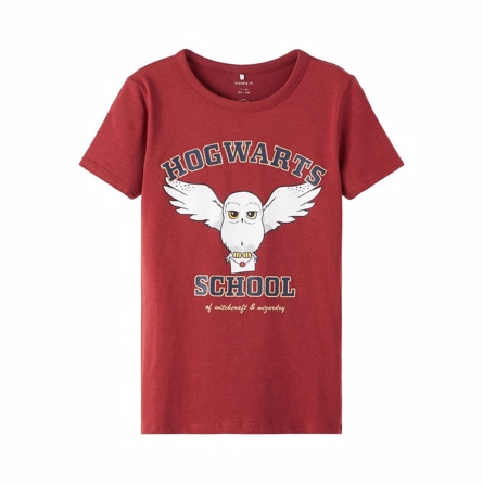 NAME IT Harry Potter Tee Odina Spiced Apple