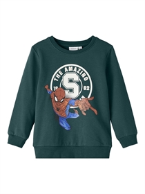 NAME IT Spider-Man Sweatshirt Ojus Sea Moss