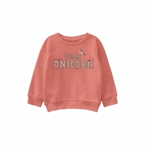 NAME IT Sweatshirt Venus Crabapple