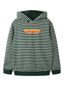 NAME IT Sweatshirt Ozias Sycamore