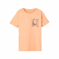 NAME IT Tee Jono Salmon Buff