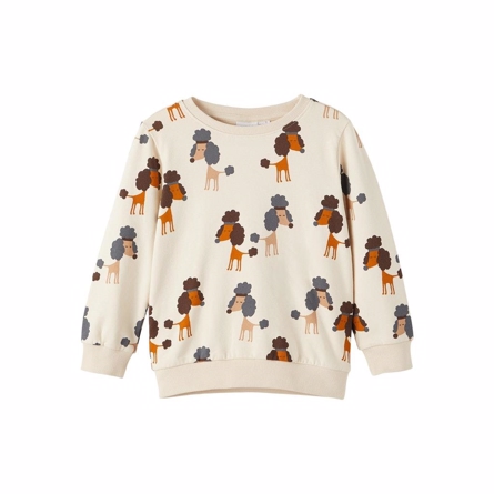 NAME IT Sweatshirt Torstein Glazed Ginger